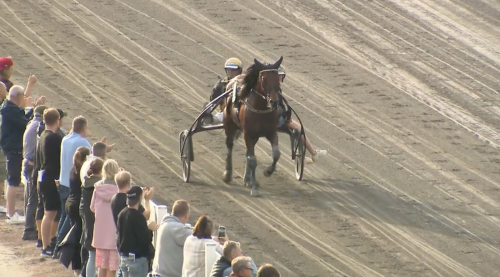 Galopp – och seger