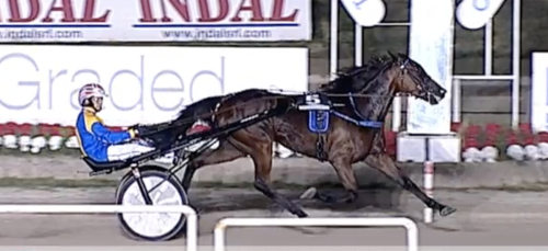 Dubbelslag för Maharajah