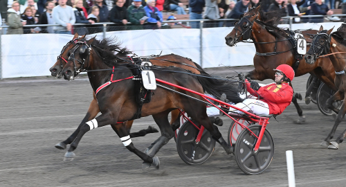 Kitty knäckte kulldrottning