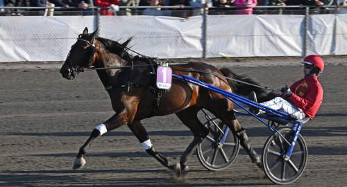 Lottat till Sprintermästaren