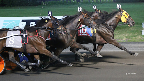 Skrällseger av Chapercraz