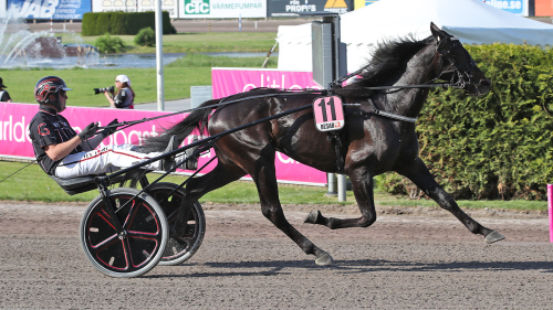 Feber stoppar Elitloppshäst
