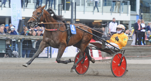 Inför V86: ”Riktigt bra prestation”