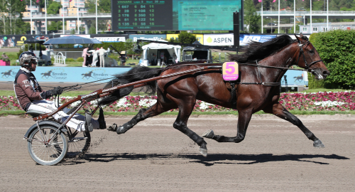 V86-tips: ”Vi tar ställning”