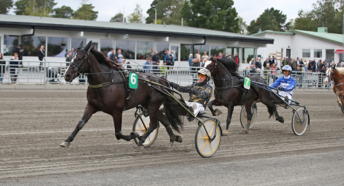 Frivoll Gorm slog obesegrad