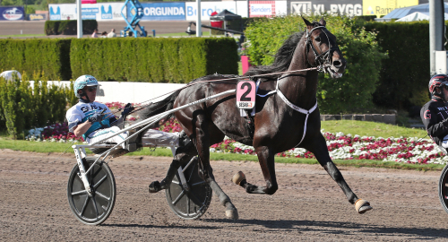 Fyra chanser till ny seger