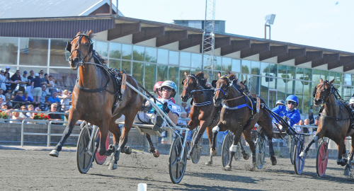 Den styvmoderliga behandlingen