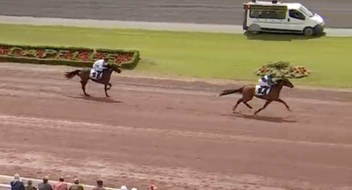 Westholm – alltid på en måndag