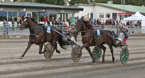 Majblomster med ett nödrop