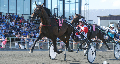 V75: Ny kanon från Holland