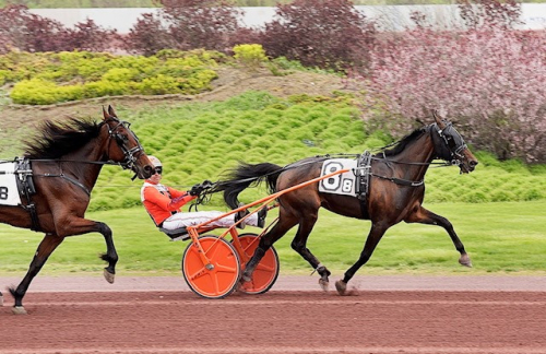 Svanstedt-seger på Pocono