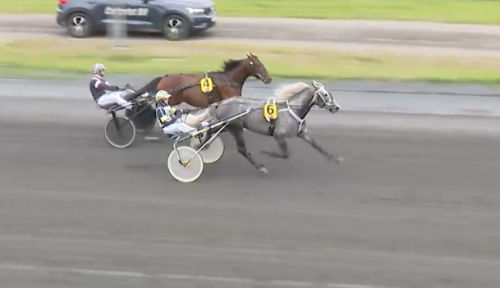 Waldmüllers vassa vinnare