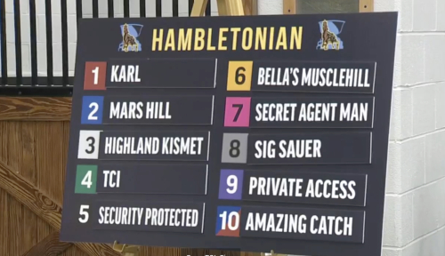 Lottat till Hambletonian