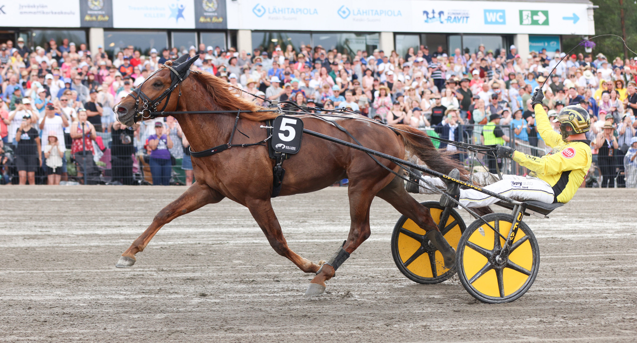 Öystein Tjomslands finske fyraåring Weikko. Foto: Terhi Piispa-Helisten