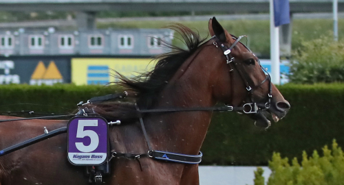 Vilka sommarfavoriter!