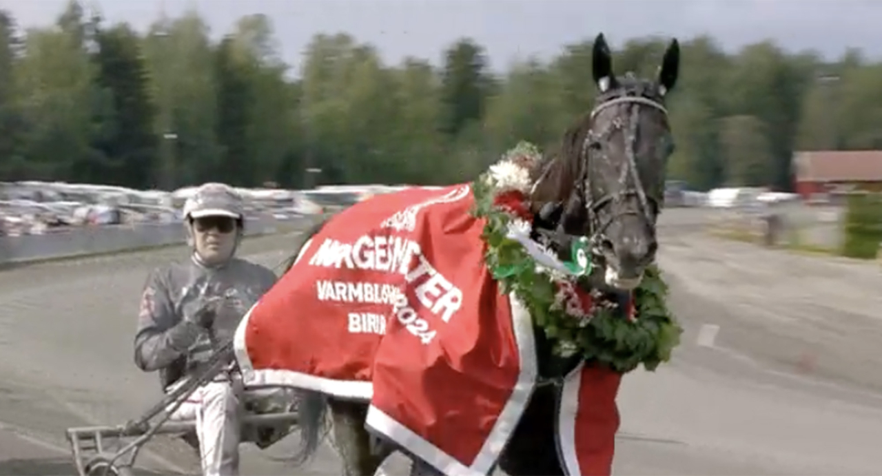 Daniel Wäjersten-tränade Dutchess Sun blev norsk mästarinna tillsammans med Geir Vegard Gundersen på Biri ifjol. Skärmbild ATG Live