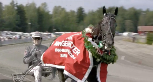Wäjersten norsk mästare