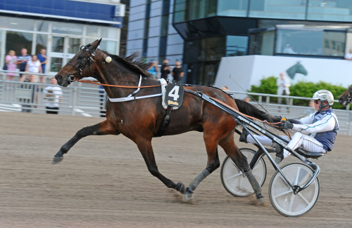V75: BC-finalerna givetvis i fokus