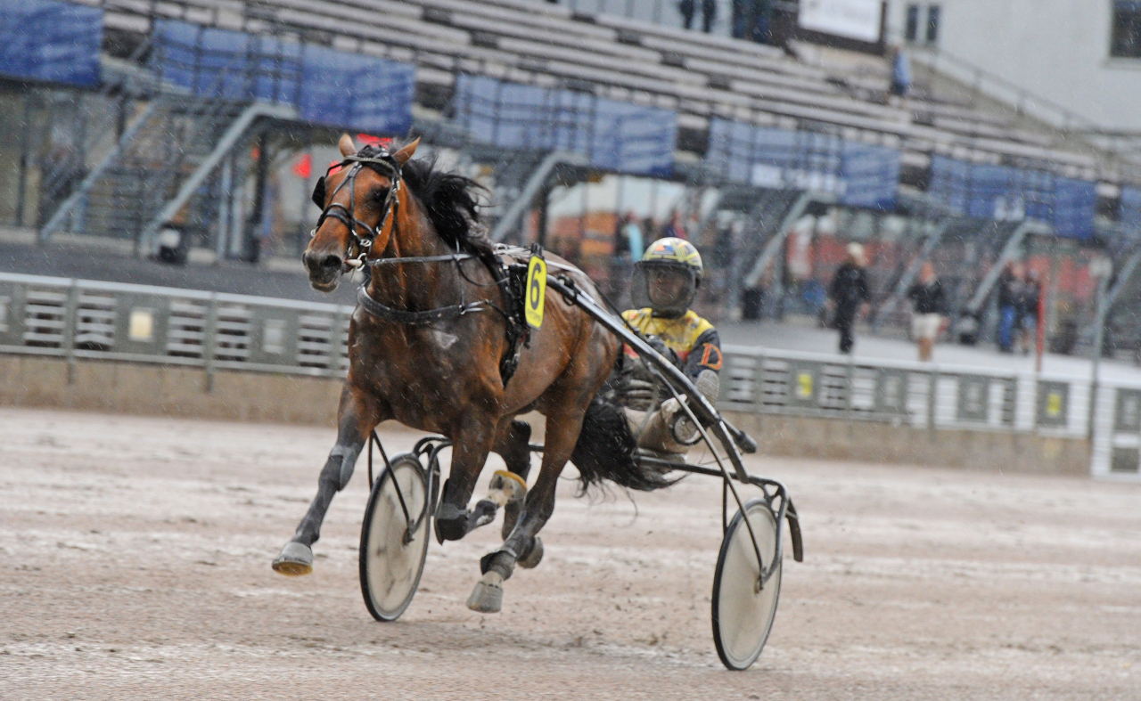 Henessi Matter var överlägsen för Mats E Djuse. Foto: Adam Ström/stalltz.se