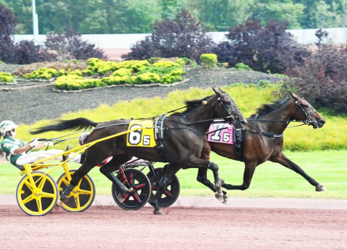 Åttonde raka för Jiggy Jog