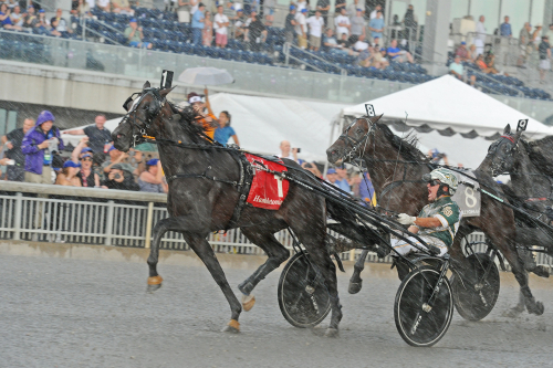 Hambo-vinnaren tillbaka