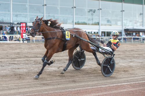 ”Tillhör de bästa i kullen”