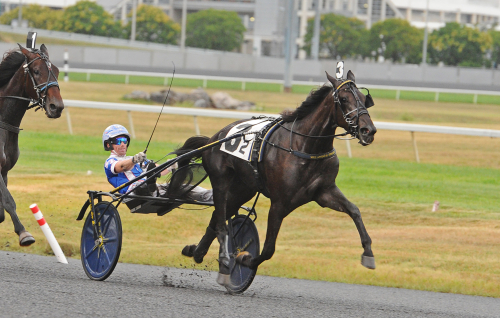 Full pott för svenskar