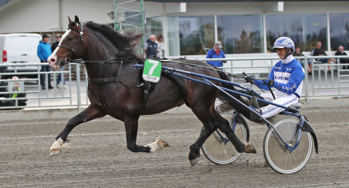 Kallblodsavel: Raset stoppades