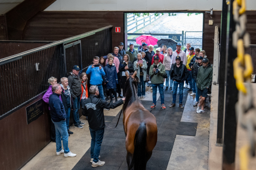50-års jubileum för Broline
