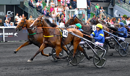 Stokriteriet till Liza Josselyn