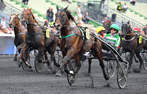 ”Ingen start för Jushua Tree”