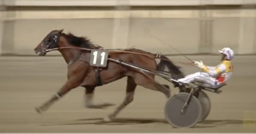 Frankie Bar överlägsen