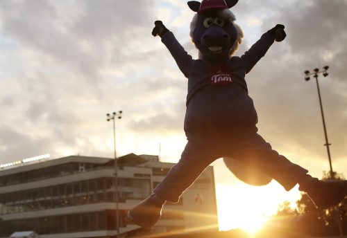Skänker bort fyra miljoner