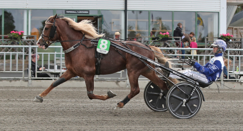 V75-tips: Derbyfinalist kvar i låg klass