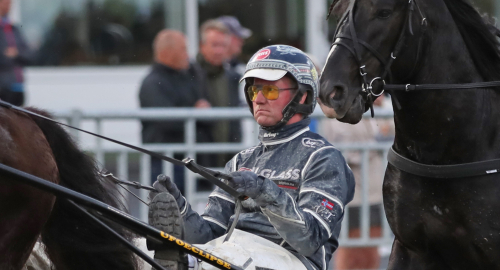 V75: Tjomsland i hetluften i helgen