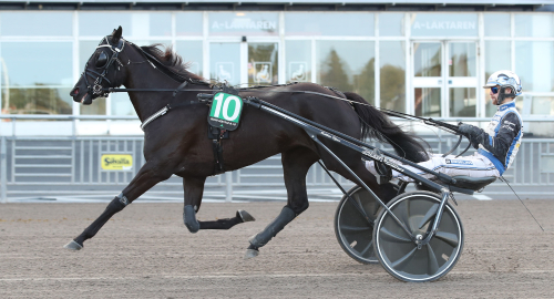 BC: Årsdebut – då blev det seger!