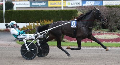 Mot norska Derbyt nästa år?