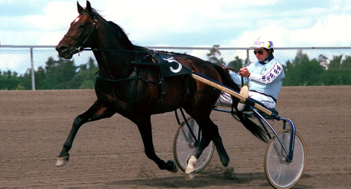 29 års väntan på VM-guld