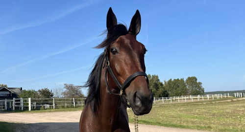 Donator fortsätter att leverera