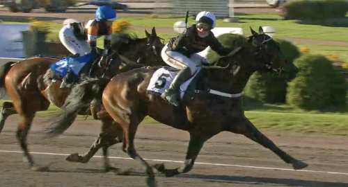 SM: Drömmen sedan november