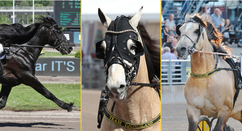 Inför V75: Stjärnmötet på Färjestad