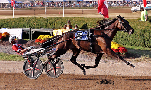 Finalseger för Svanstedt