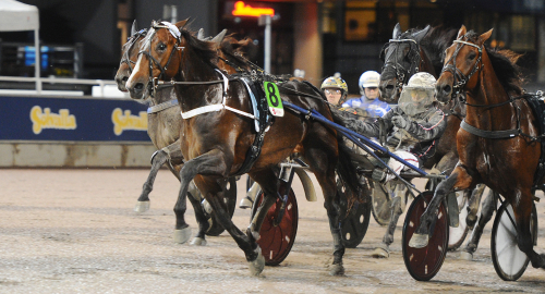 P d’A-vinnare i topp