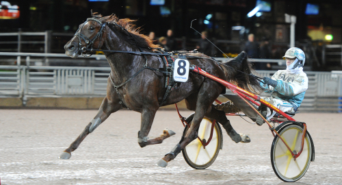 E3-stjärnor gjorde avtryck