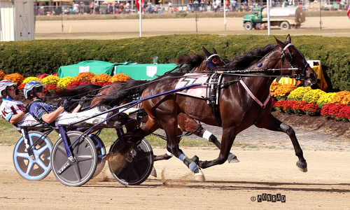 Trippel för Chapter Seven