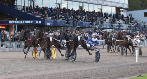 Intressant sto debuterar för Frang