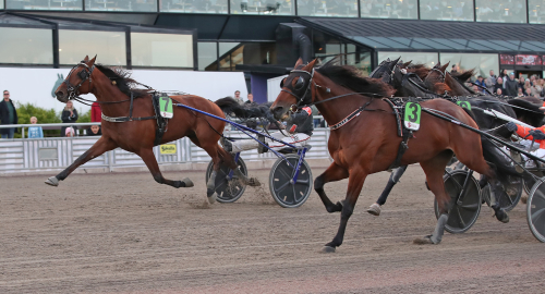 V75-tips: Spikarna från bakspår