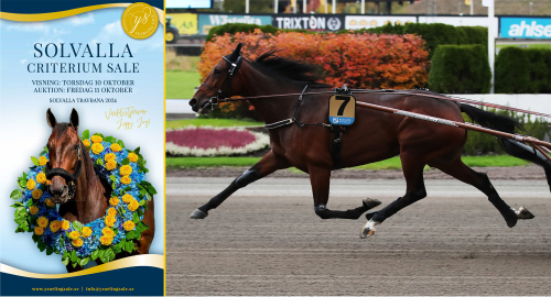 Sista ettåringsauktionen i år