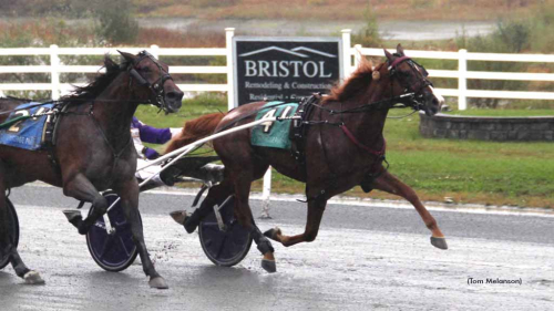 Tangerade segerrekordet