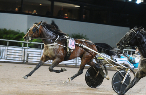 Vass spurt talade segerspråk
